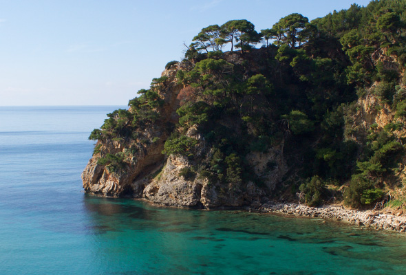 Preveza sea and green trees